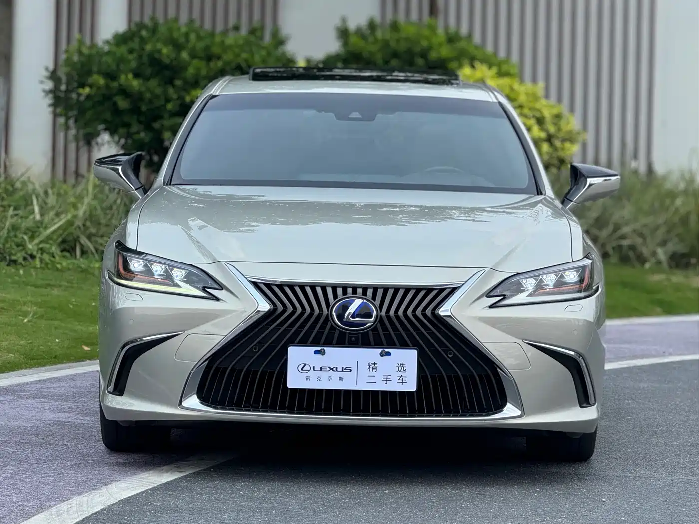 Lexus ES 2018 300h Executive Edition China V фото 2