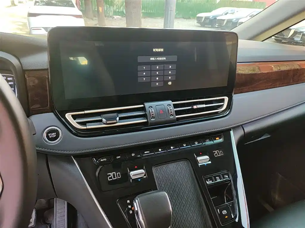 Hongqi HQ9 PHEV 2024 Model 2.0T AWD Luxury Edition фото 13