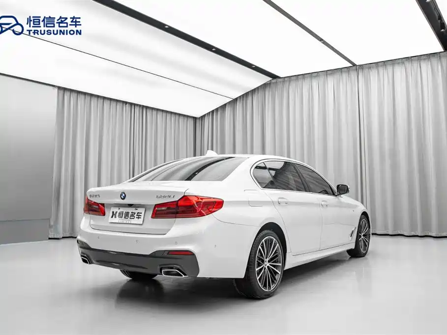 BMW 5 Series 2020 530Li Leading M Sport Package фото 5