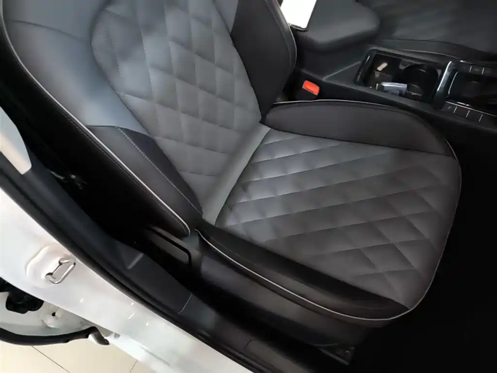 Volkswagen Sagitar 2025 300TSI DSG Surpass Edition фото 25