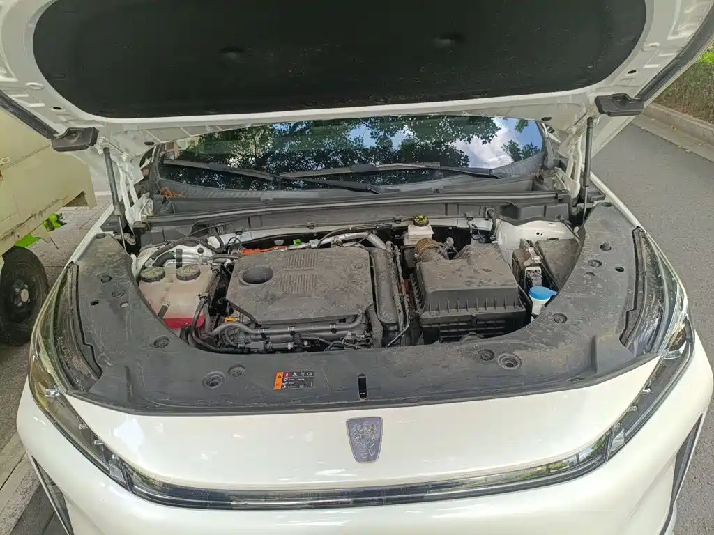 Roewe D5X DMH 2026 2024 Model 135 Technology Edition
