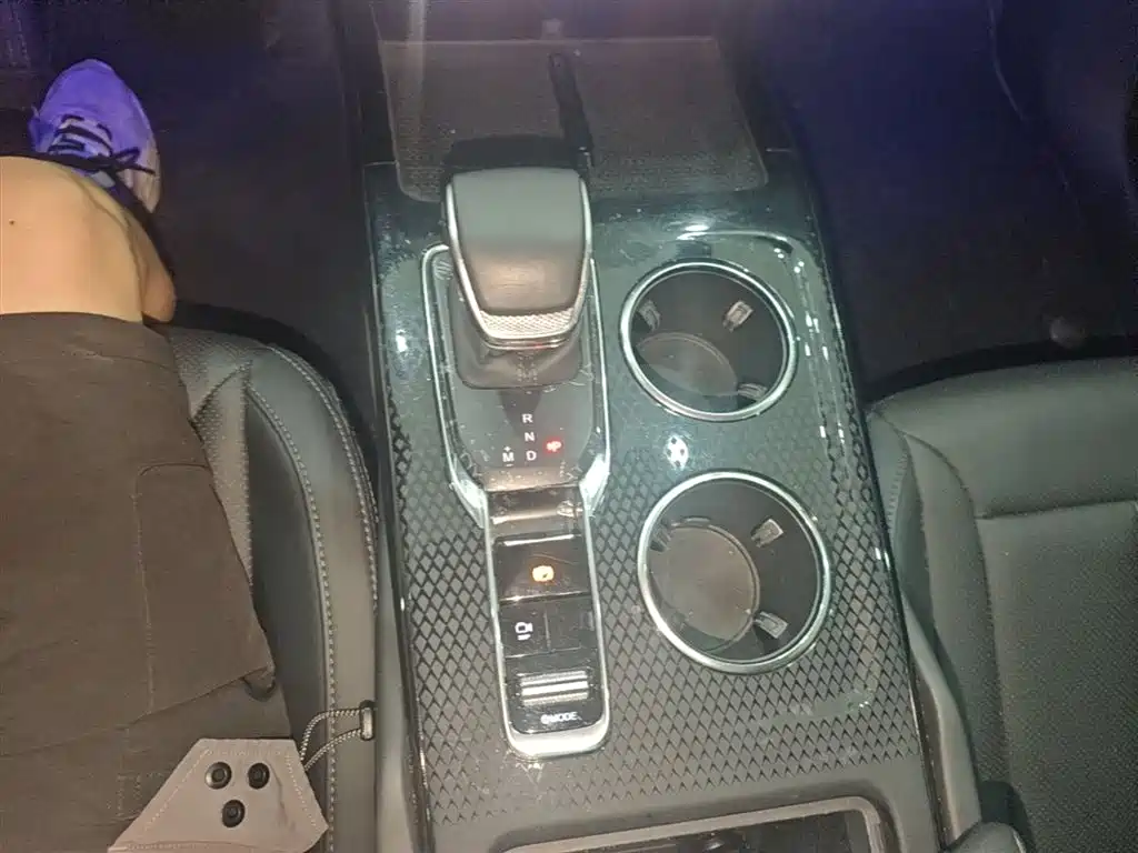 Hongqi HS3 2023 1.5T 2WD Virtue Edition фото 21