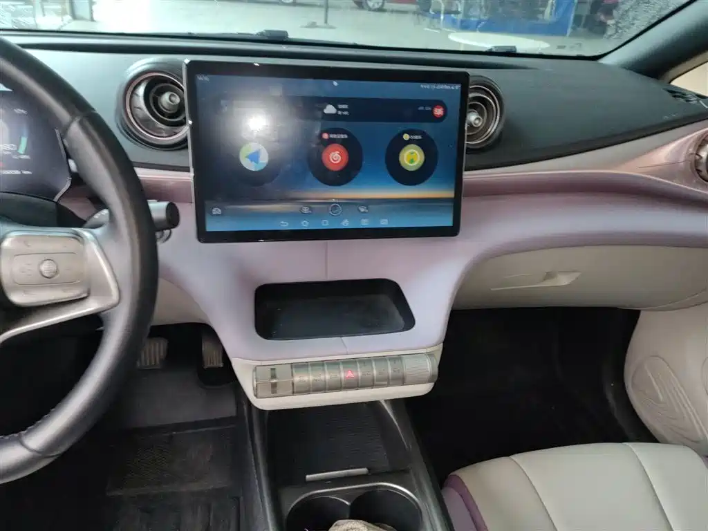 BYD Dolphin 2021 Model 405km Fashion Edition фото 13
