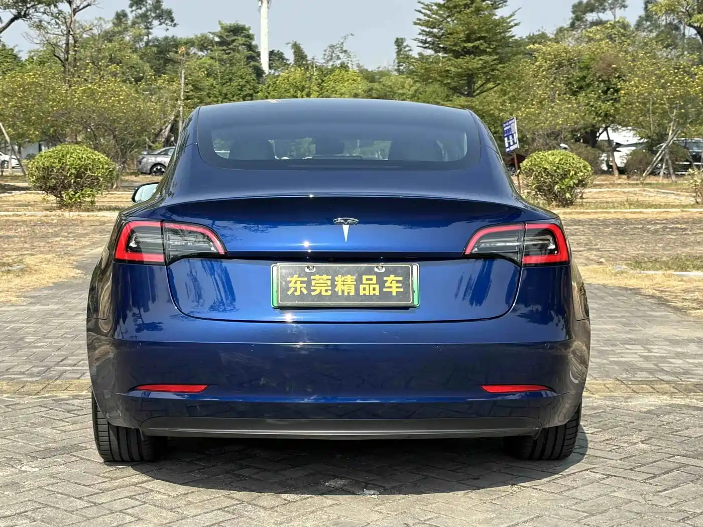 Tesla Model 3 (Import) 2019 2019 Standard Range RWD Upgraded Edition
