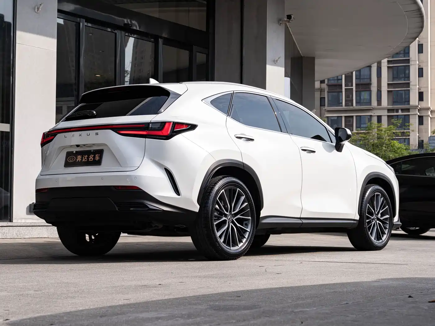 Lexus NX 2022 260 FWD Enjoy Creation Edition фото 3