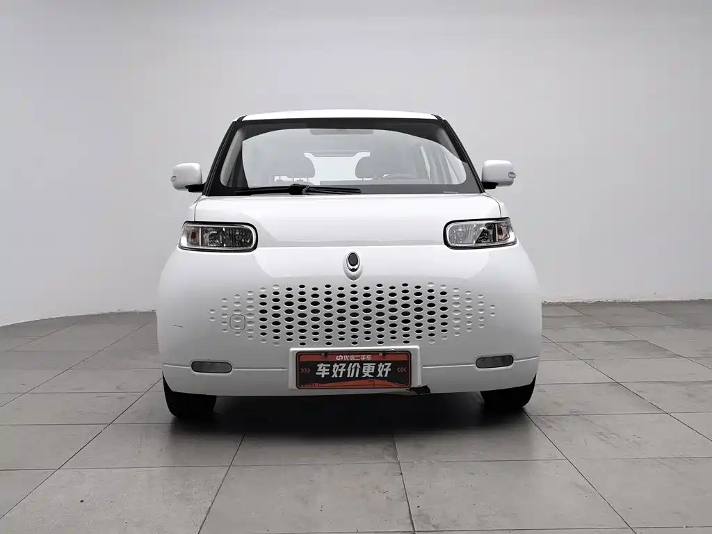 Ora White Cat 2021 2020 305km Luxury
