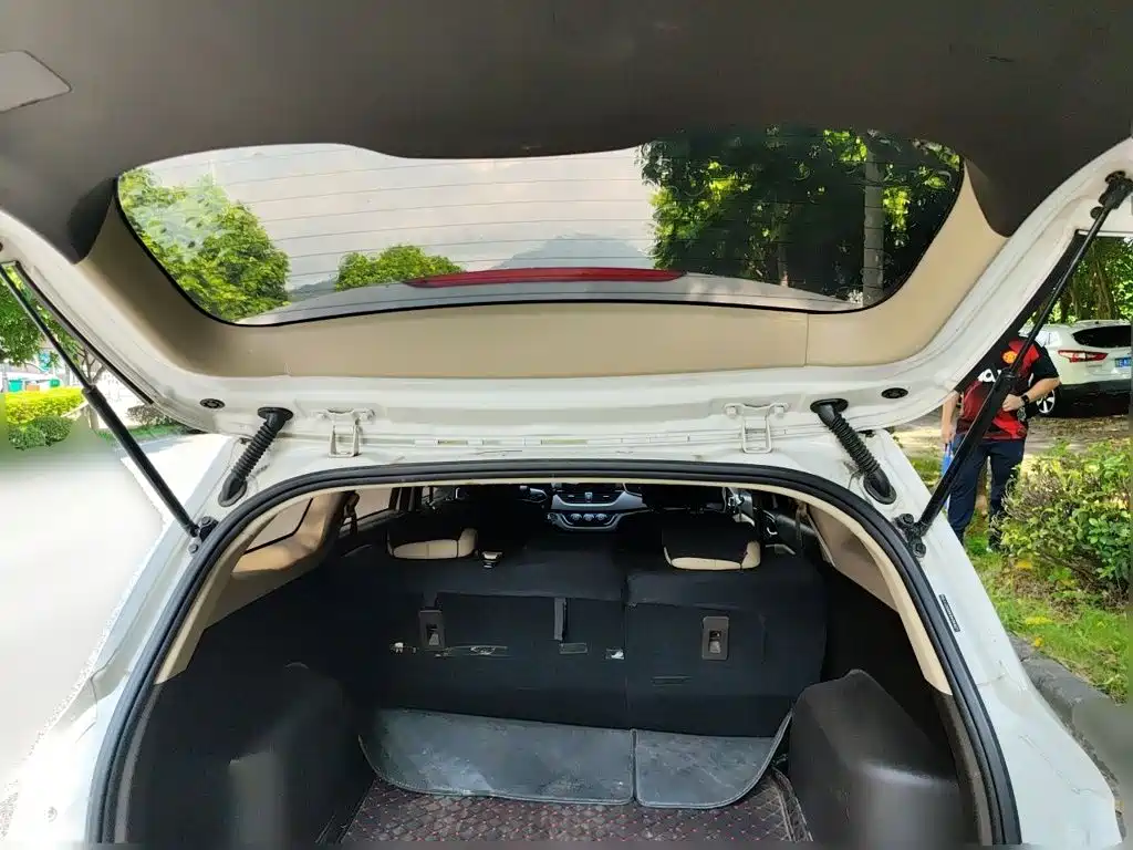 Baojun 310W 2019 2017 1.5L Manual Fashion Edition (China V)