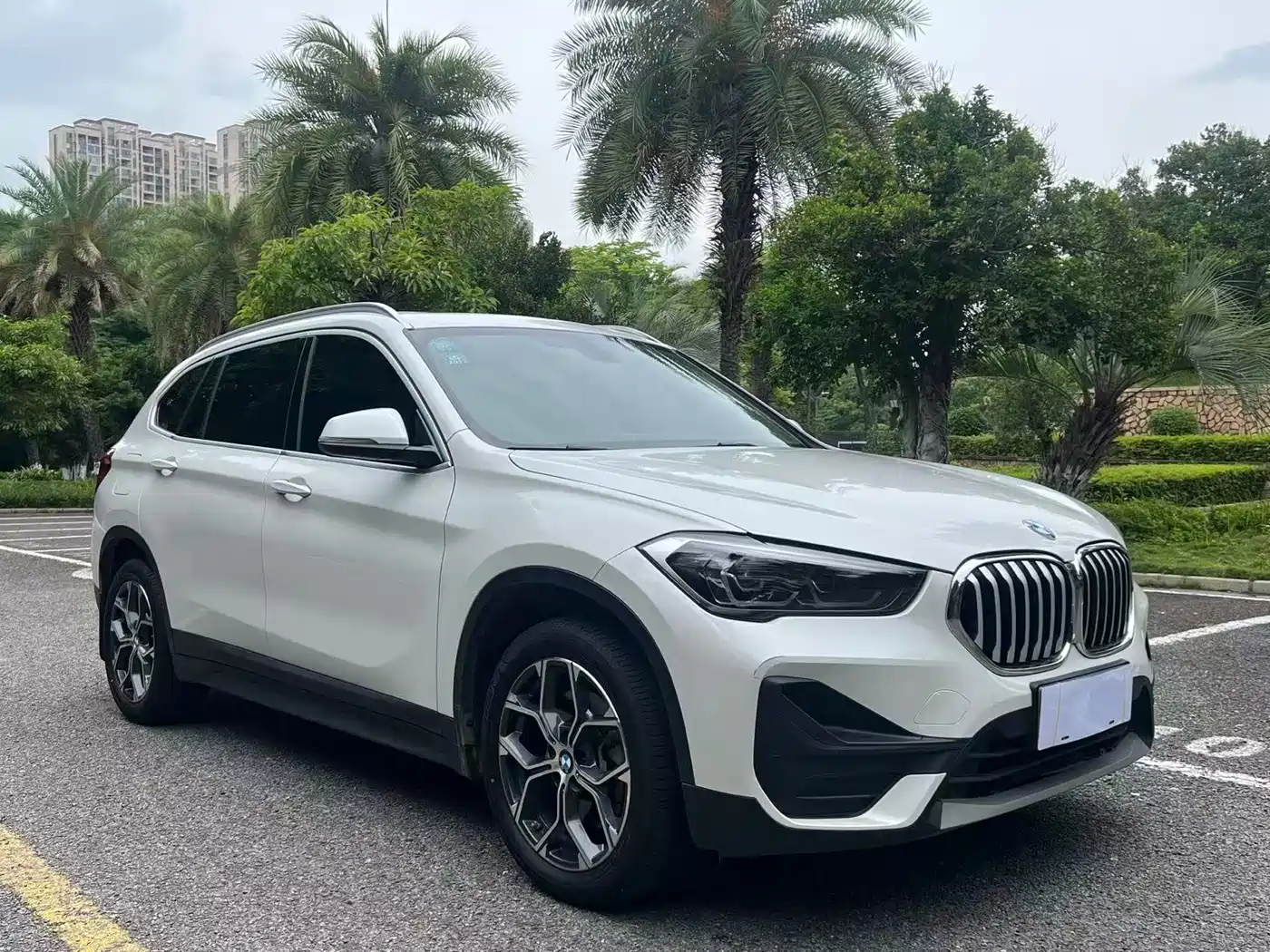 BMW X1 2020 sDrive25Li Leading Model