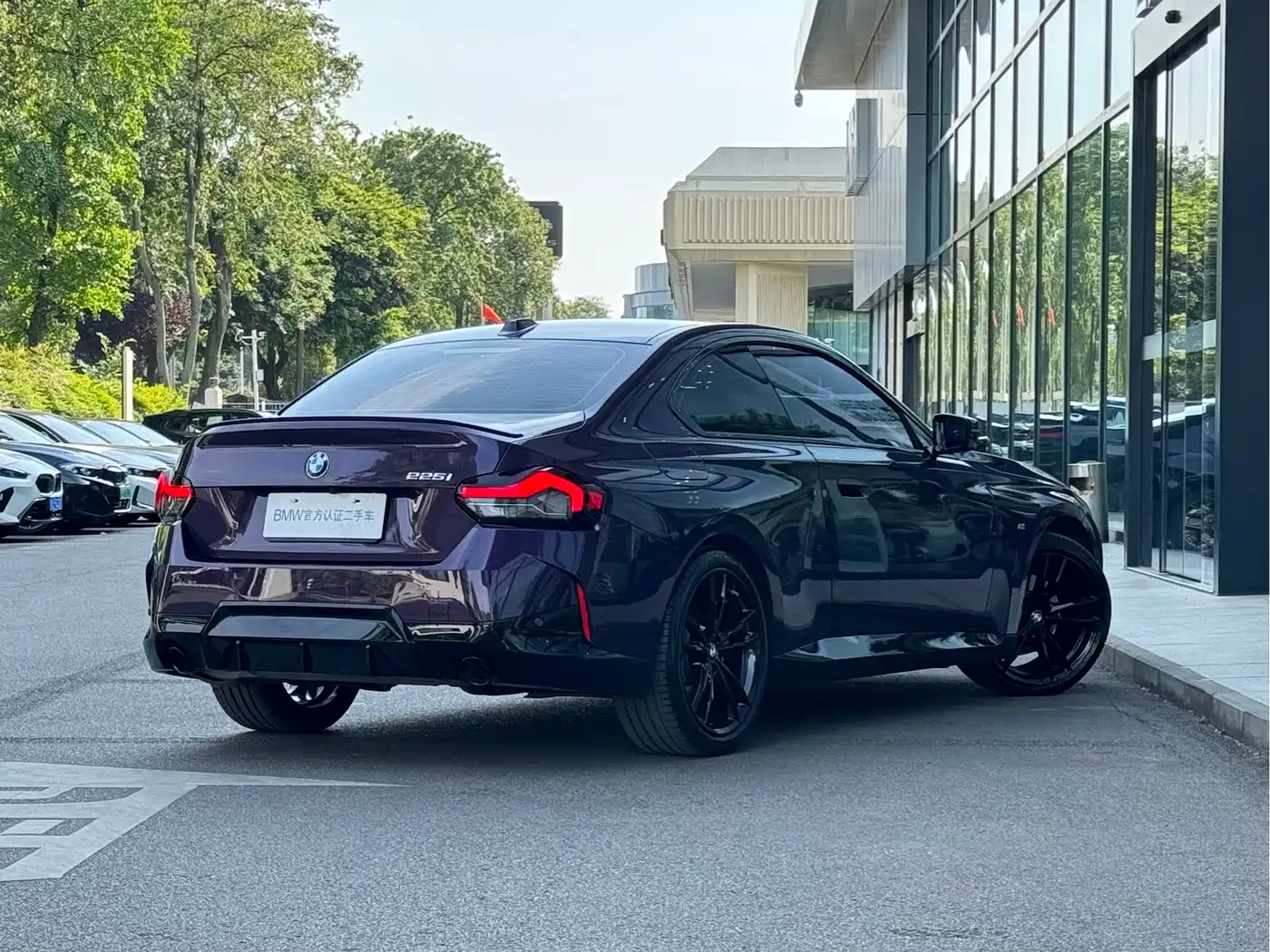 BMW 2 Series (Import) 2023 225i M Sport Black Night Package фото 7