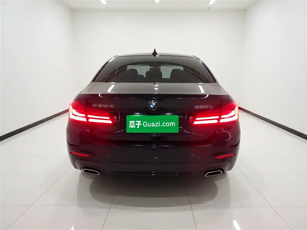 BMW 5 Series 2020 530Li Leading M Sport Package фото 5