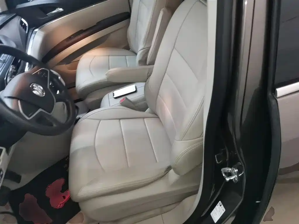 Buick GL8 2023 Model Land Business Class Comfort фото 15