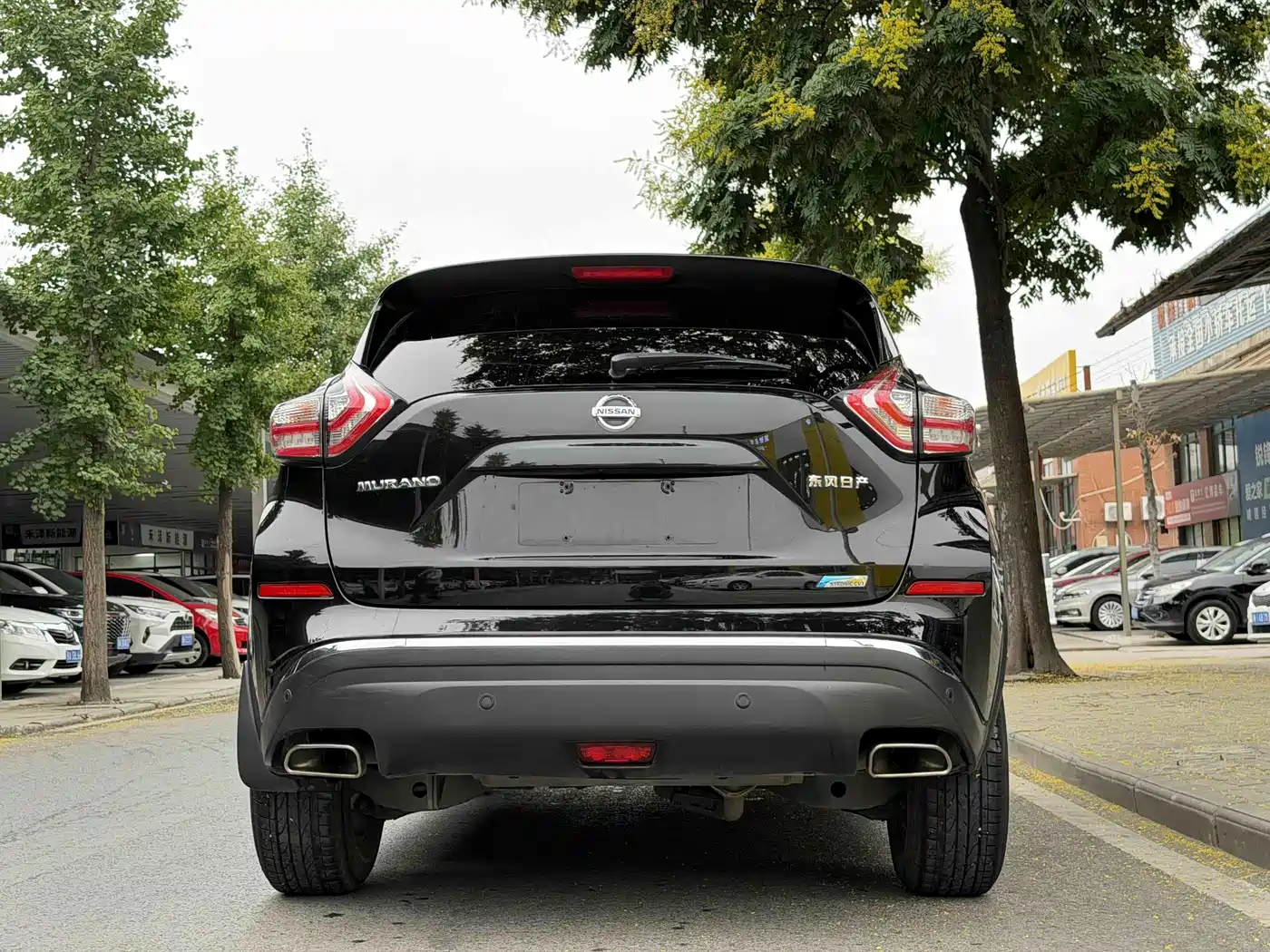 Nissan Murano, миниатюра 4