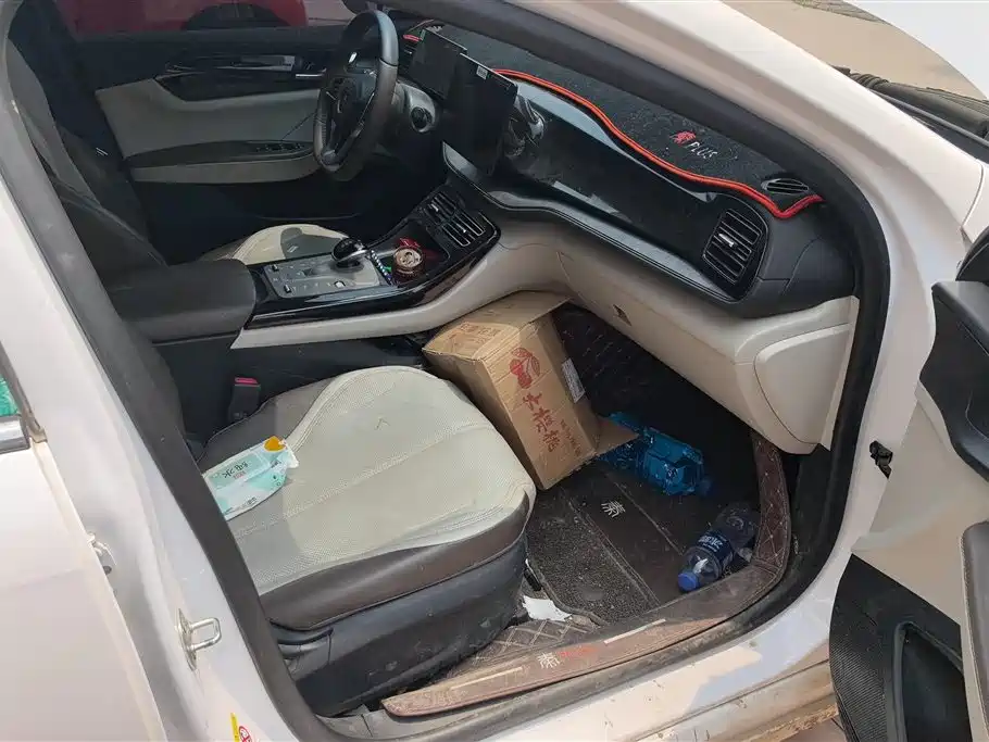 BYD Qin PLUS 2024 Glory Edition DM-i 55KM Leading фото 8