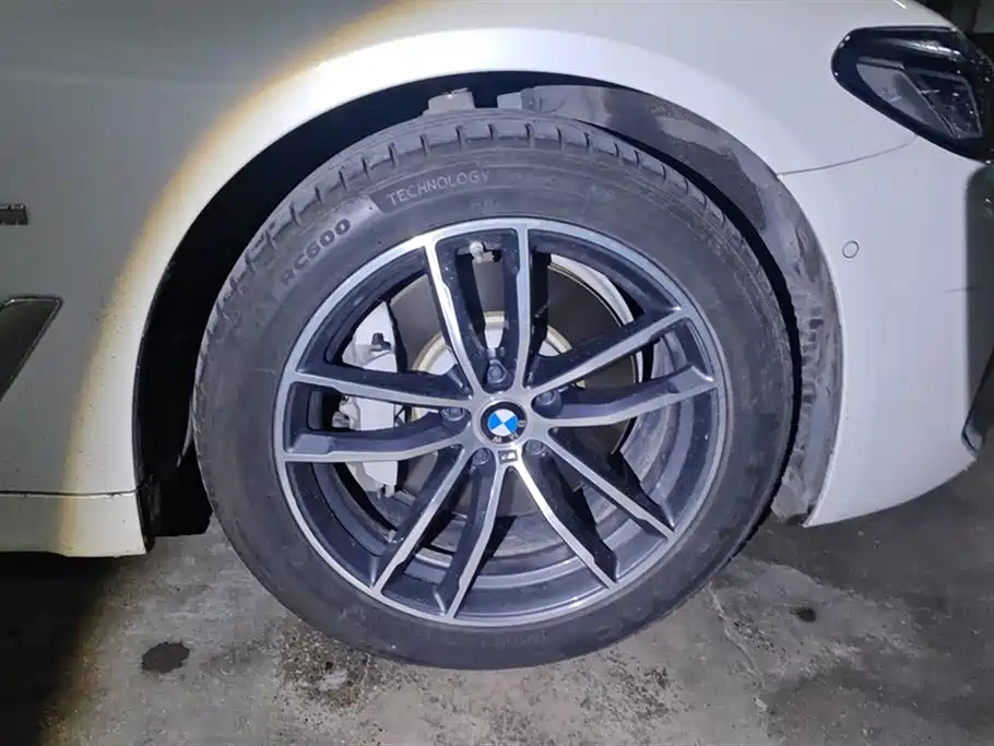 BMW 5 Series New Energy 2021 535Le M Sport Package фото 6