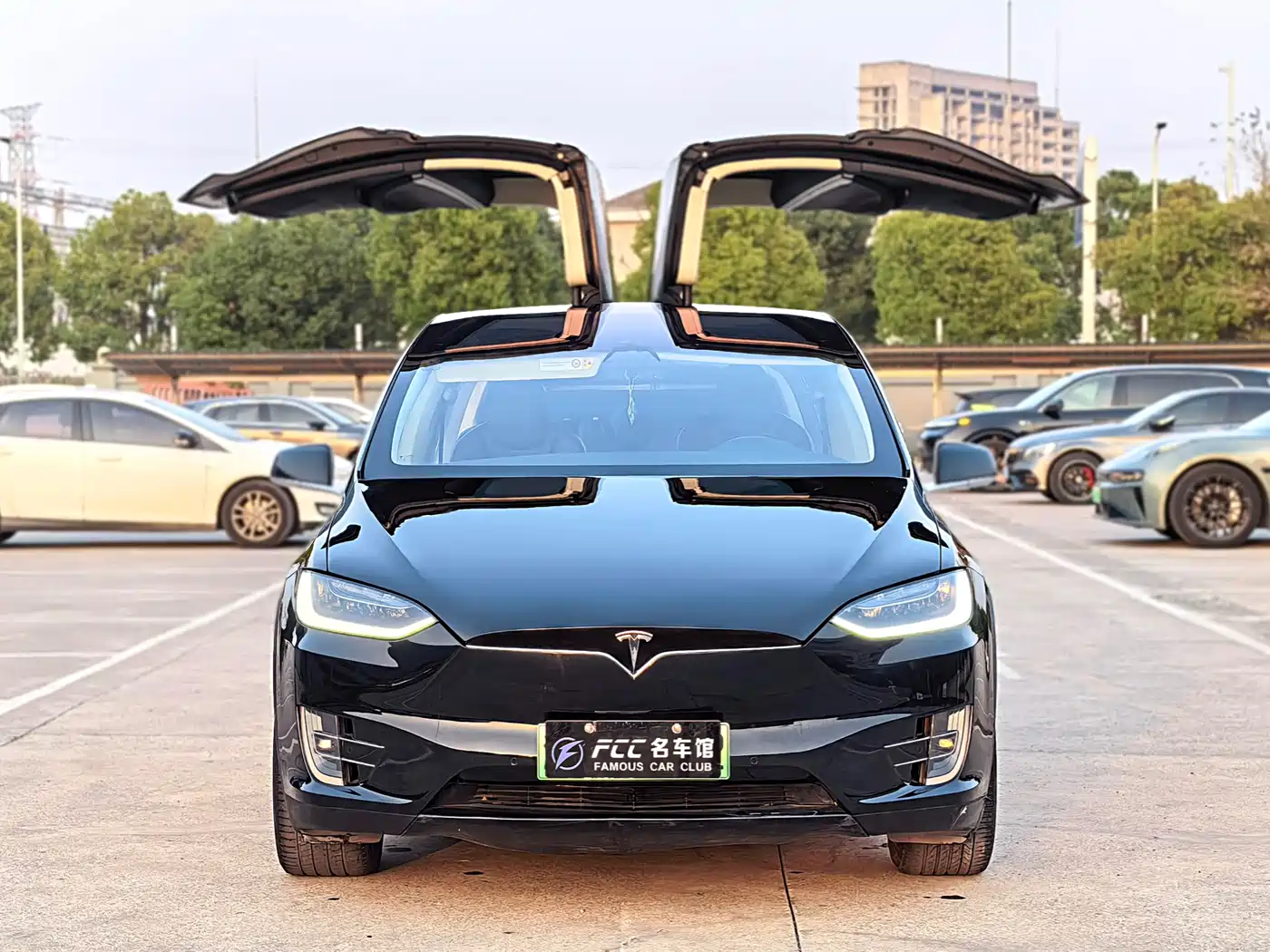 TESLA MODEL X