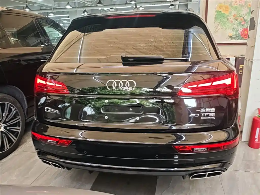 Audi Q5L 2024 Model 40 TFSI Luxury Dynamic фото 6