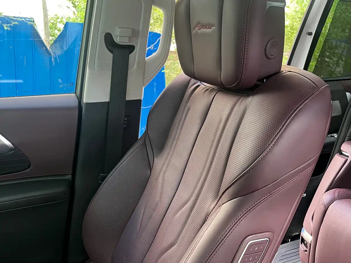 Buick Century 2023 2.0T 7-Seater World Edition фото 22
