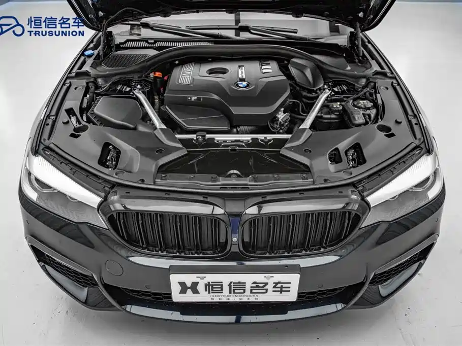 BMW 5 Series 2019 530Li xDrive M Sport Package фото 21