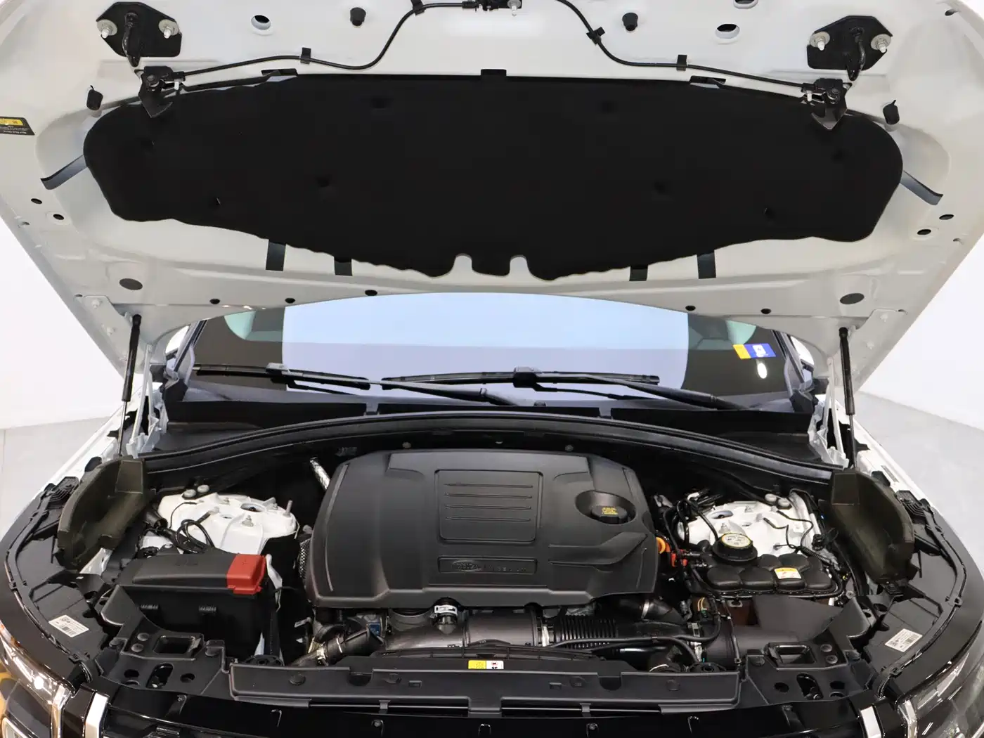 LAND ROVER RANGE ROVER STAR PULSE