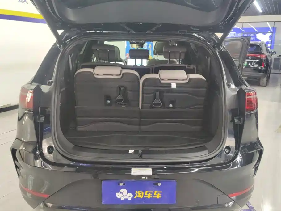 BYD Tang New Energy 2025 2025 DM-i 115KM Flagship