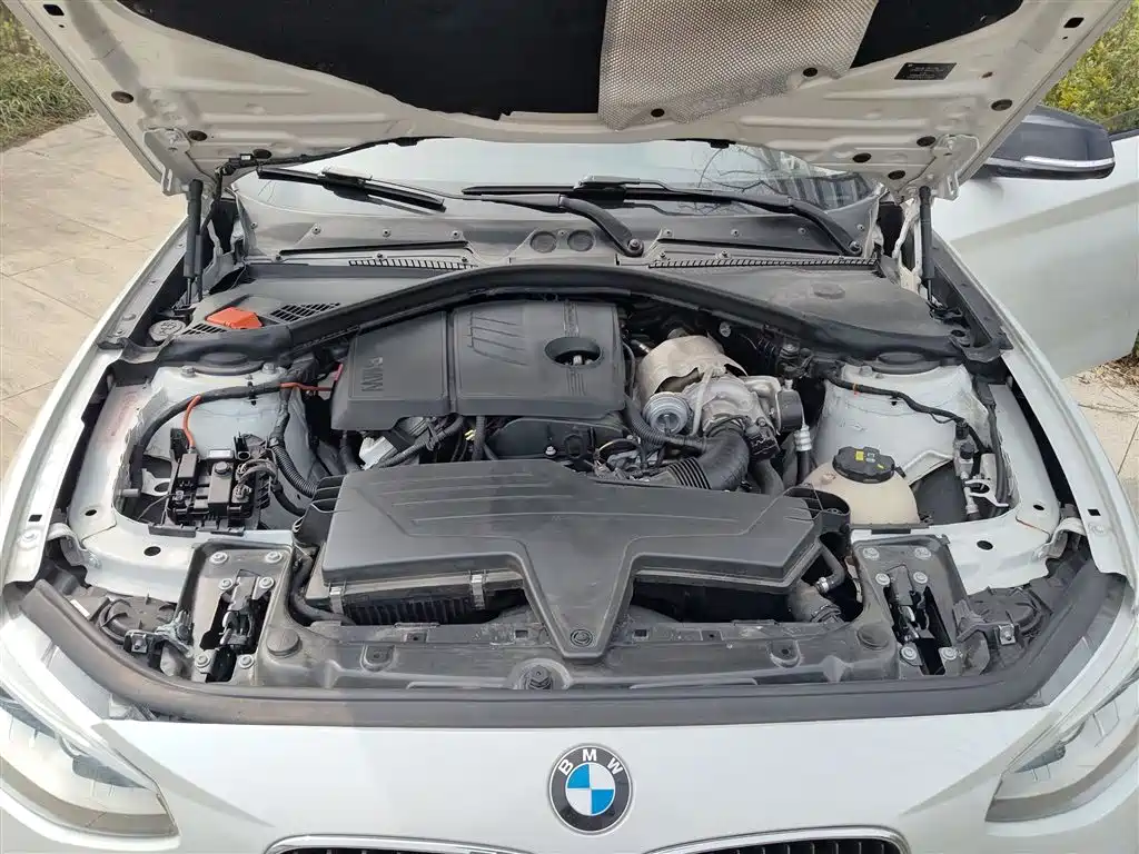 BMW 1 Series (Import) 2013 Facelift 116i Leading Model фото 11