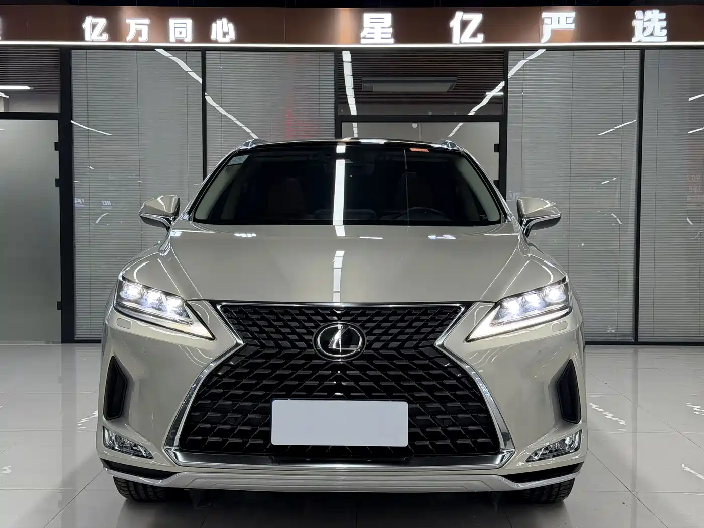 Фото 2 - Lexus RX