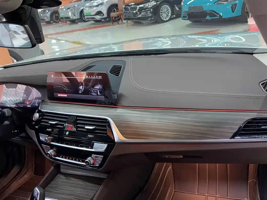 BMW 5 Series 2020 530Li Leading Luxury Package фото 3