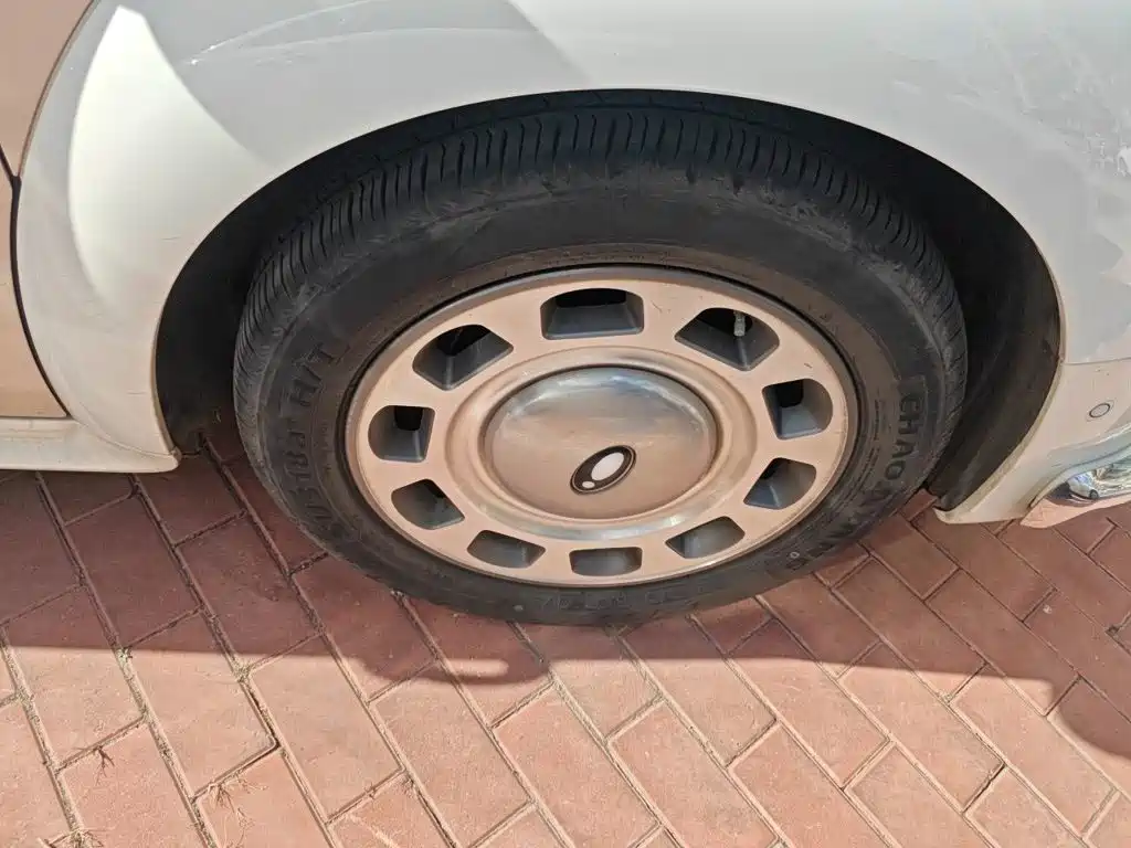 Ora Ballet Cat 2024 2023 500km Premium Model