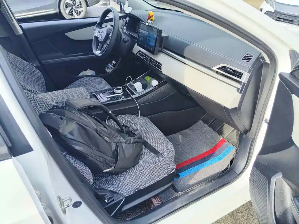 BYD Qin New Energy 2023 2021 Leading Comfort Edition