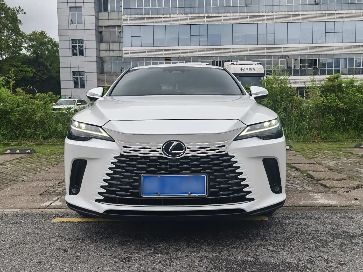 Lexus RX 2023 350h 2WD Joy Edition