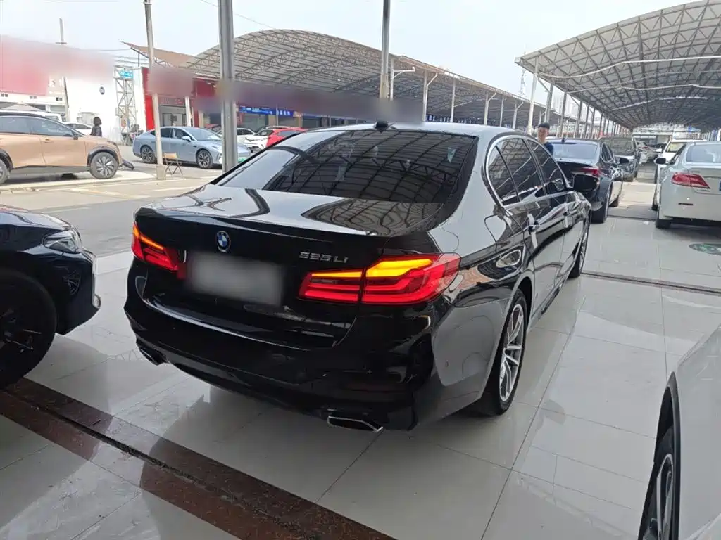 BMW 5 Series 2020 525Li M Sport Package фото 5
