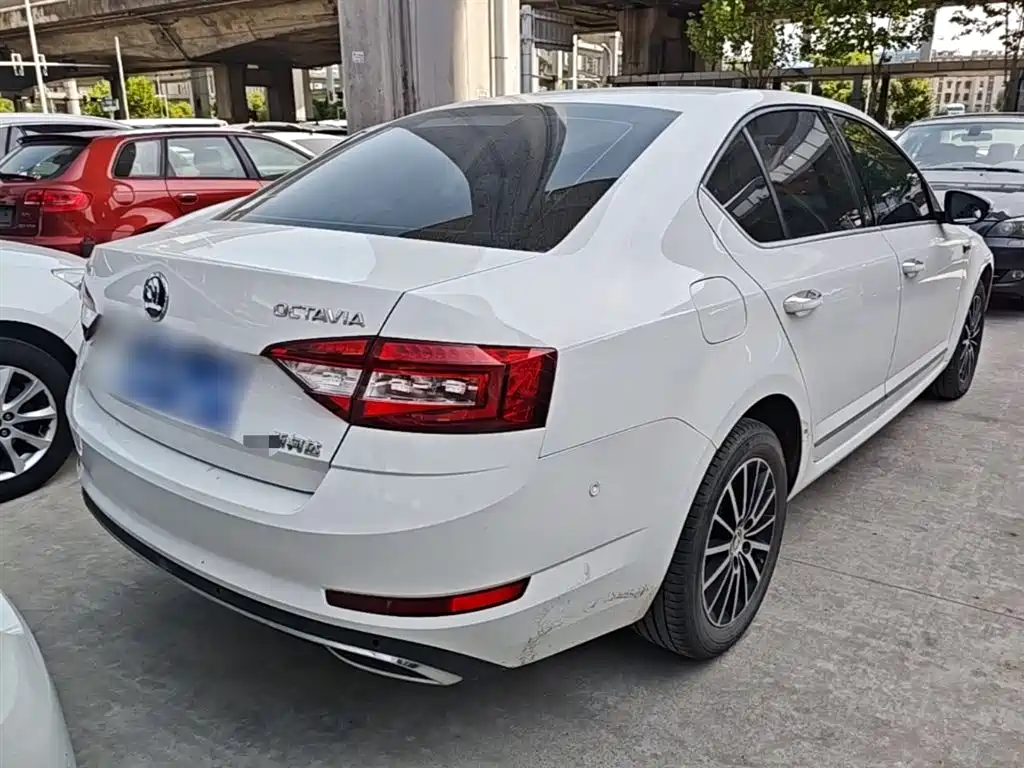 Škoda Octavia 2018 TSI230 DSG Luxury Edition фото 7