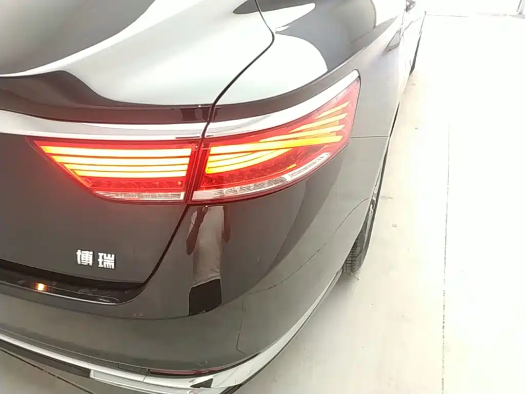 Фото 8 - Geely Borui