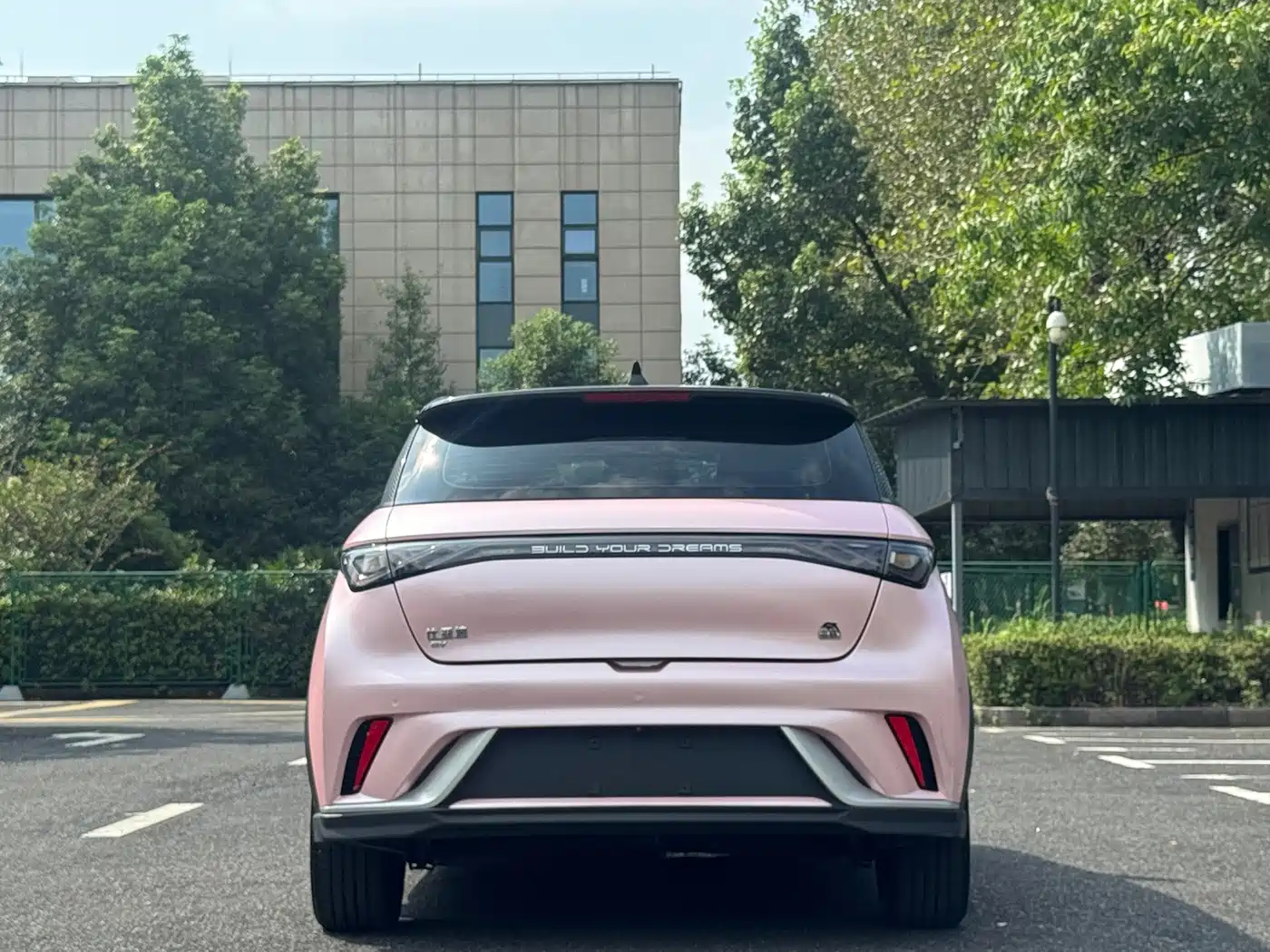 BYD Dolphin 2022 2021 401km Knight Edition