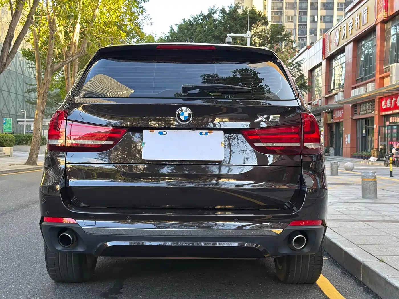 BMW X5 (Import) 2017 xDrive28i фото 14