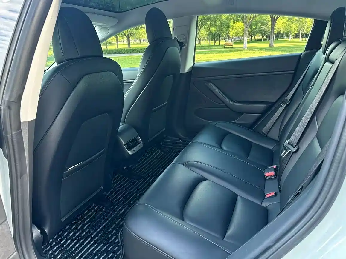 Tesla Model 3 (Import) 2019 2019 Standard Range RWD Upgraded Edition