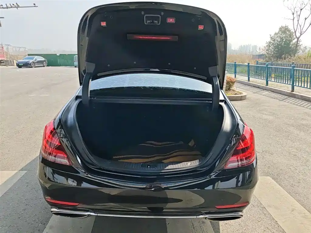 Mercedes-Benz S-Class 2019 S 320 L фото 19