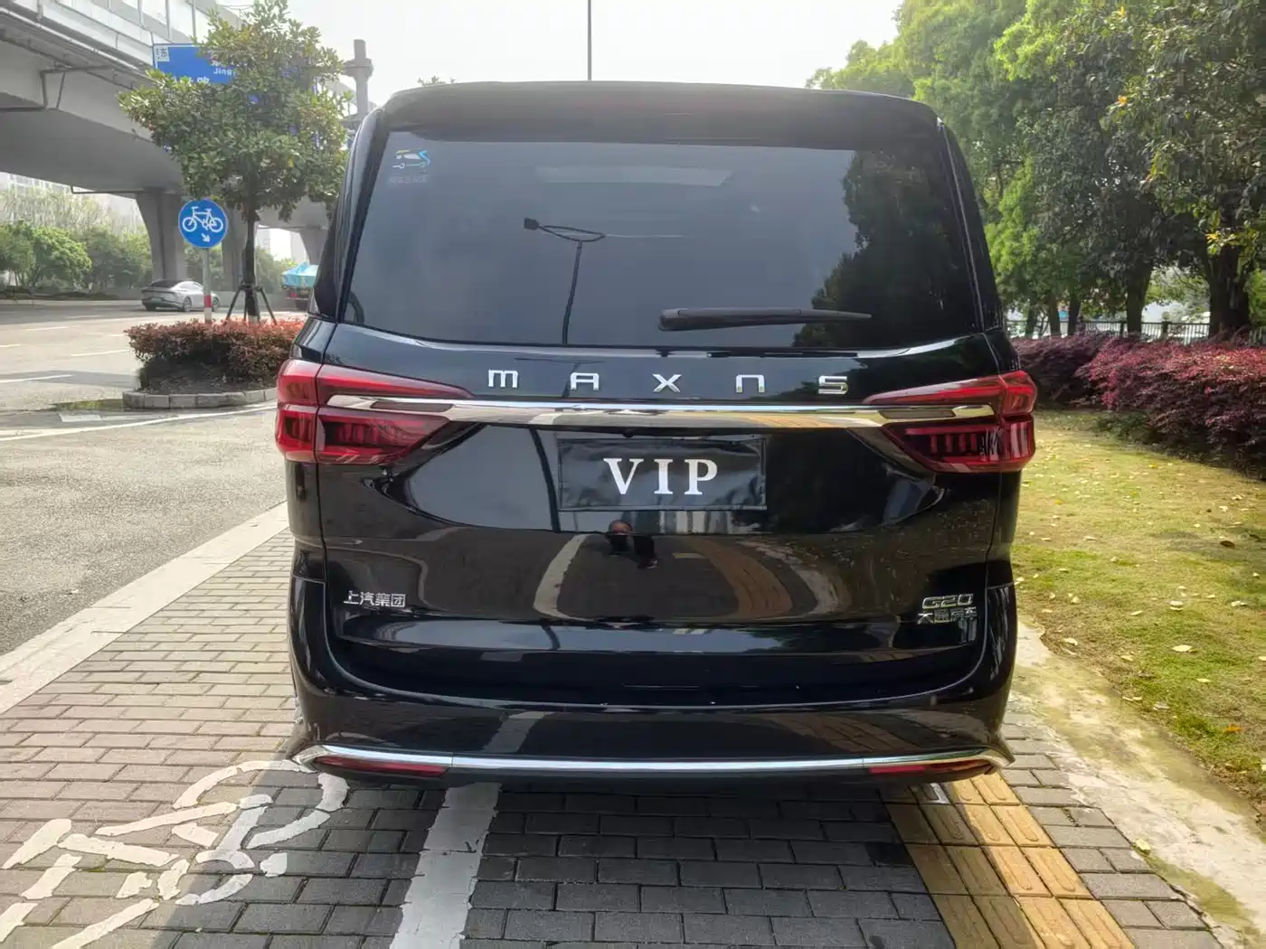 SAIC MAXUS CHASE G20