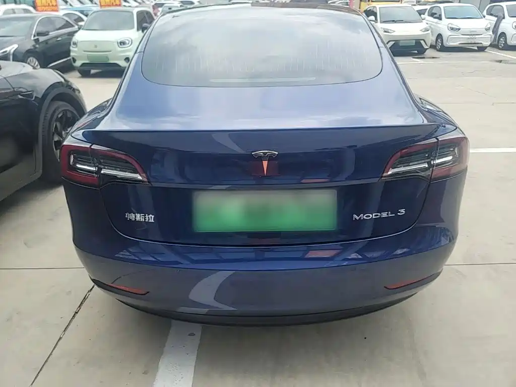 Tesla Model 3 2020 2020 Standard Range Rear-Wheel Drive Upgrade