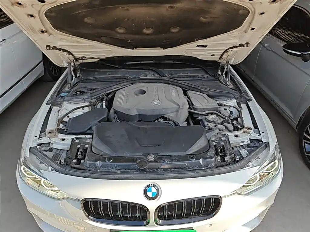 BMW 3 Series 2018 320Li Fashion Style фото 20