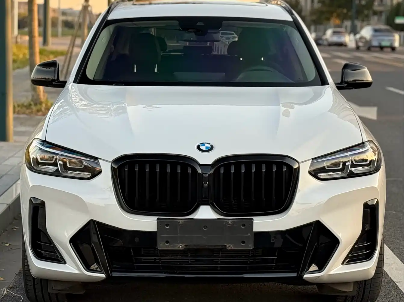 BMW X3 2023 xDrive30i Leading M Night Package фото 3