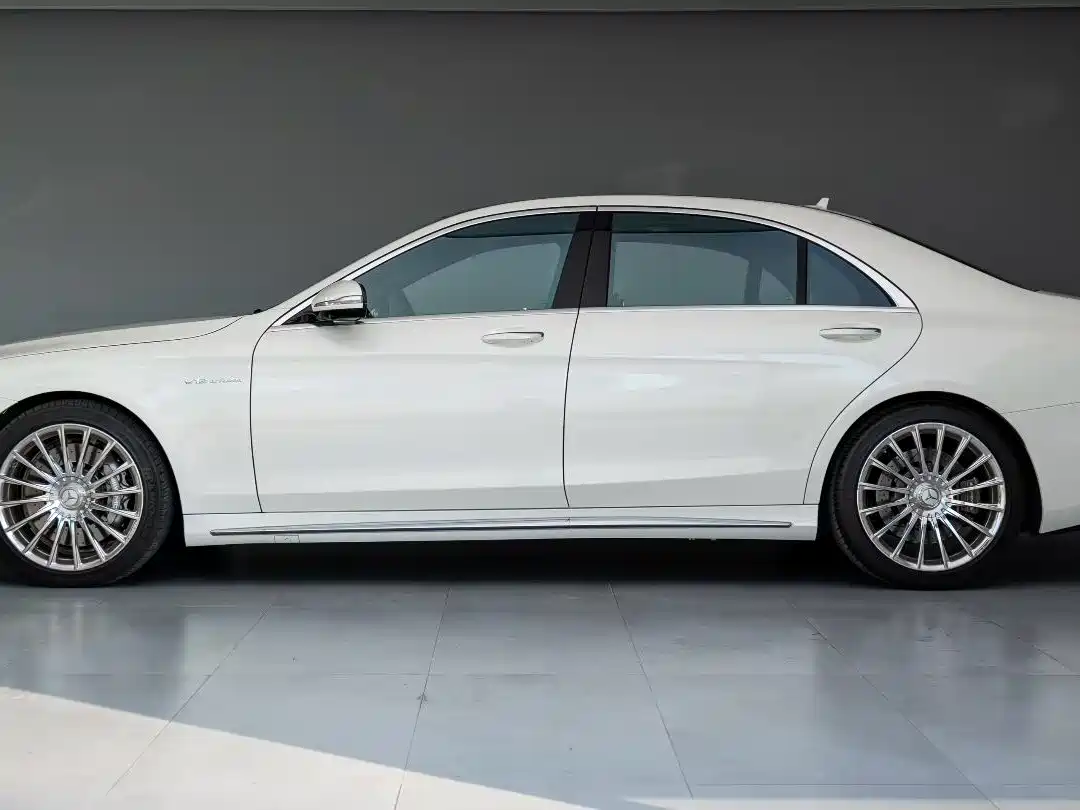 Mercedes-Benz S-Class AMG 2014 AMG S 65 L фото 8