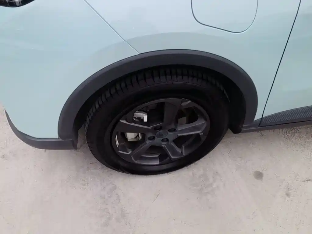 Geely Geometry E Firefly 2022 2022 401KM Delicate Tiger 4-seater