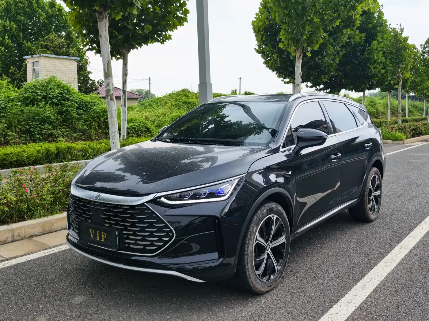 BYD Tang New Energy 2025