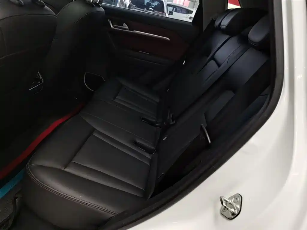 Haval H6 Coupe 2018 Red Label 1.5T Auto 2WD Ultra Luxury фото 17