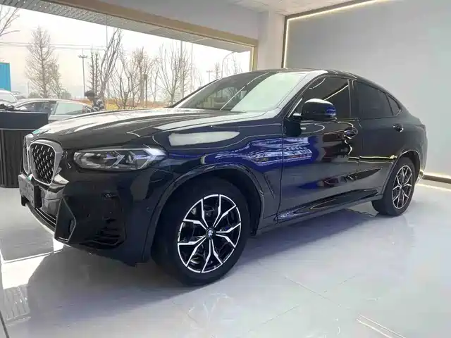 BMW X4 xDrive 25i, M Спорт-пакет