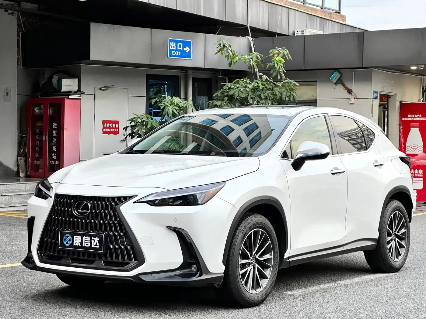 Lexus NX 2023 2023 260 FWD Joy Creation Edition