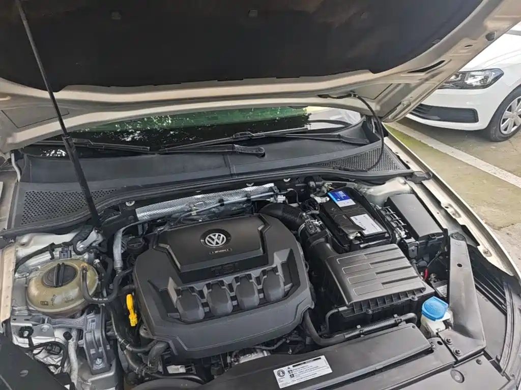 Volkswagen Magotan 2019 330TSI DSG Luxury Class China VI фото 20