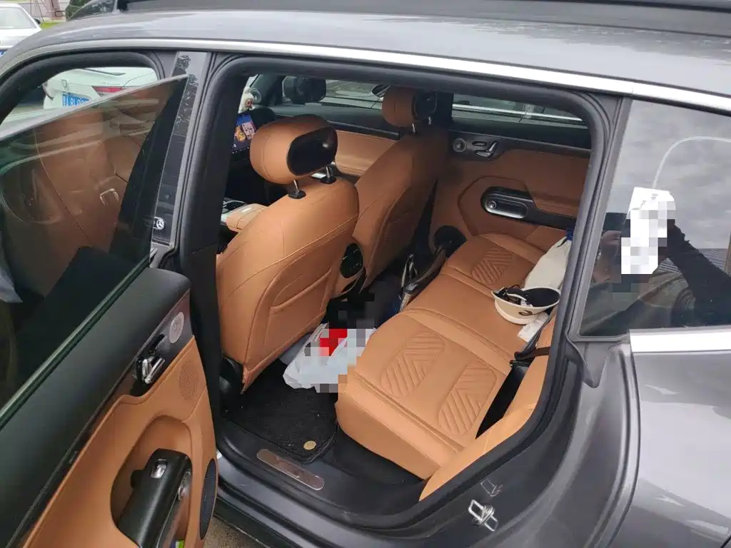 smart Genie #5 2026 2026 Model 252km Standard Edition