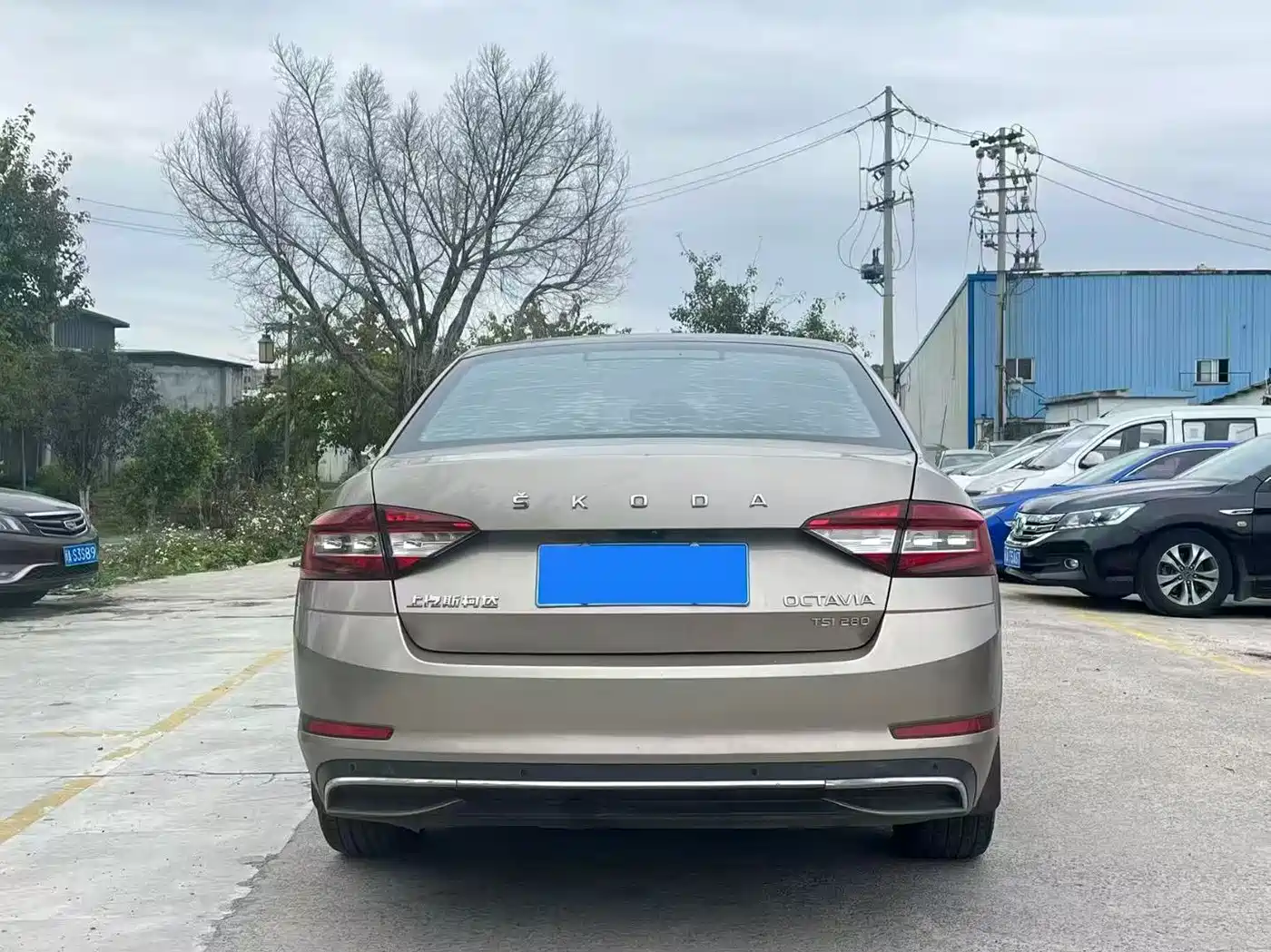 Škoda Octavia 2019 TSI280 DSG Smart Drive Luxury Edition China VI фото 5